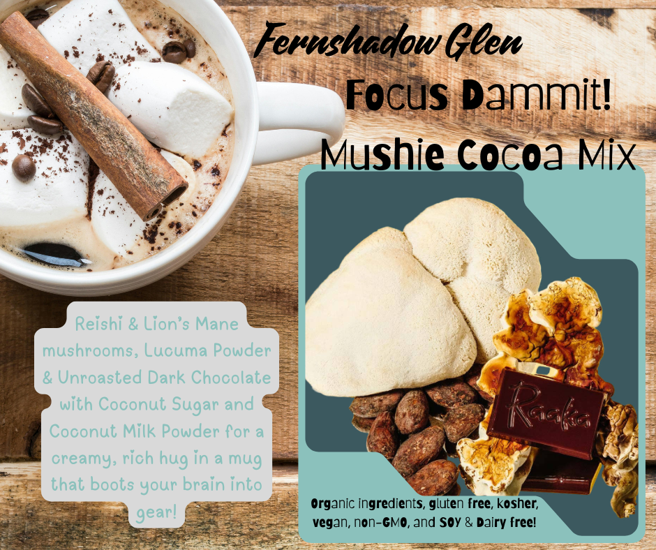 Fernshadow Glen Focus Dammit! Dark Chocolate Mushie Cocoa Mix
