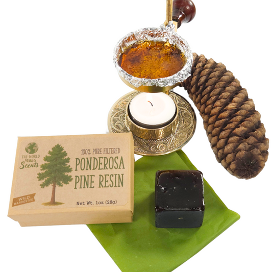 Filtered Ponderosa Pine Resin (Pinus ponderosa) 1oz (28g)
