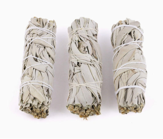 White Sage Smudge Sticks | Cleansing & Spiritual Protection