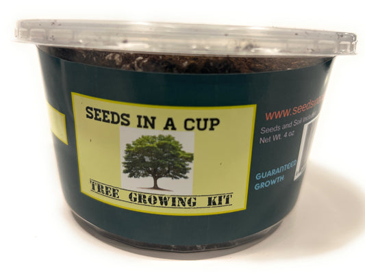 Dogwood Tree | Seed Starter Grow Kit | Seeds In A Cup®