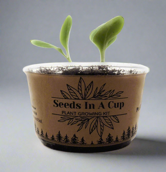 Mystery Plant Grow Kit: Surprise Plant Seeds In A Cup® - We Pick, You Grow!
