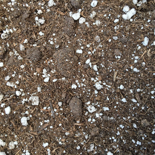 Starter Kit for 5 Small Plugs