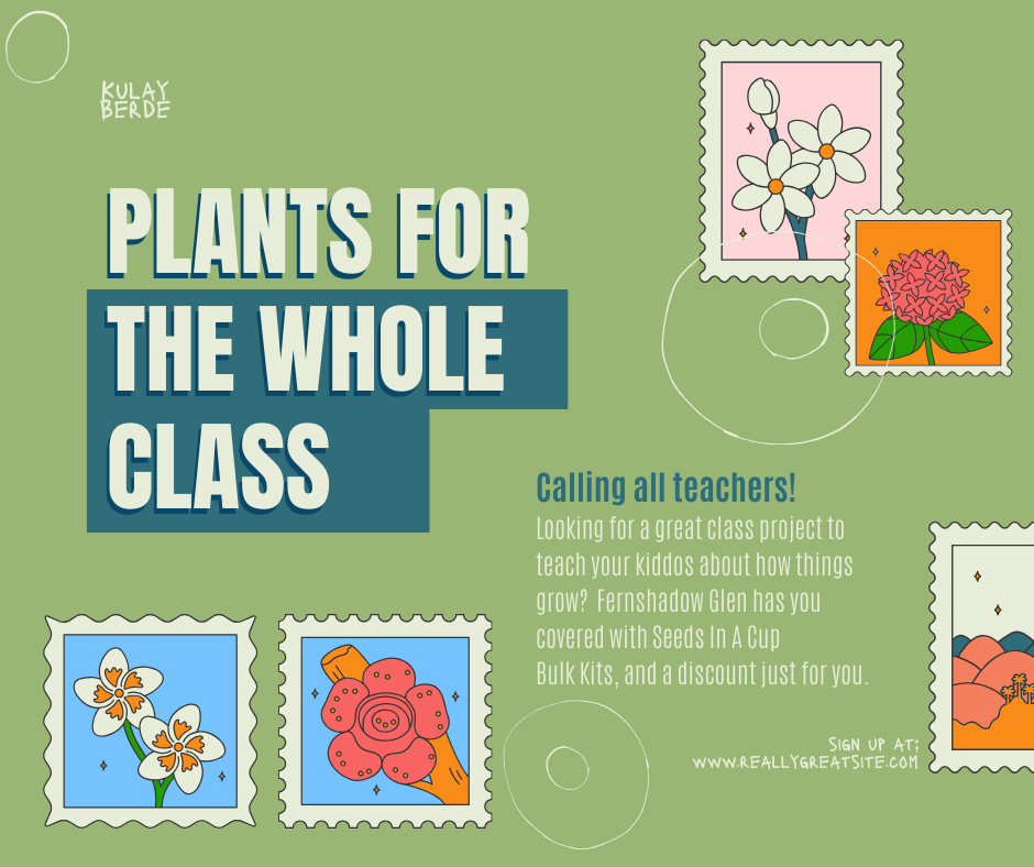 BULK ORDER- Seeds In A Cup | Vegetable & Herb Kit