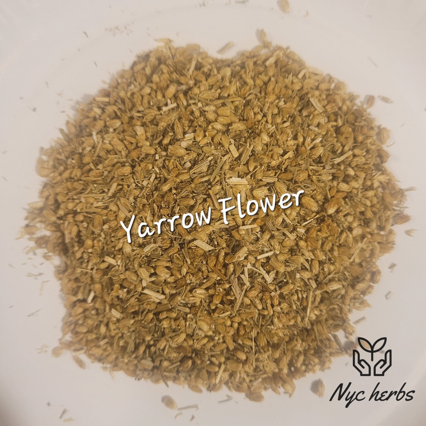 Yarrow Flower | Resilience, Circulatory Balance & Healing