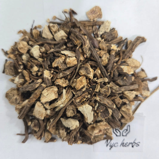 Angelica Root | Digestive Harmony & Circulation Support