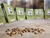 American Elm Tree  |  Seed Starter Grow Kit  |  Seeds In A Cup®