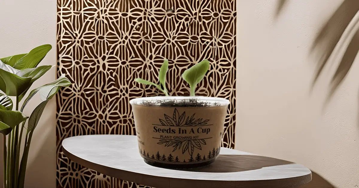 American Ash | Tree Grow Kit  |  Seeds In A Cup®