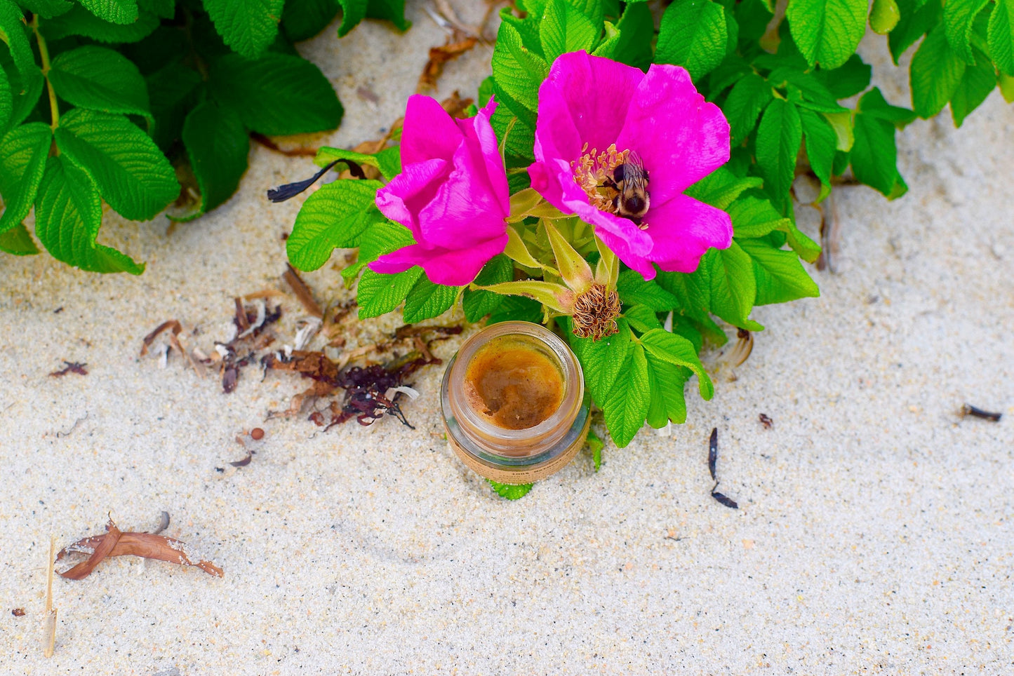 Pink flowers with a bee on a sandy surface next to a small jar.