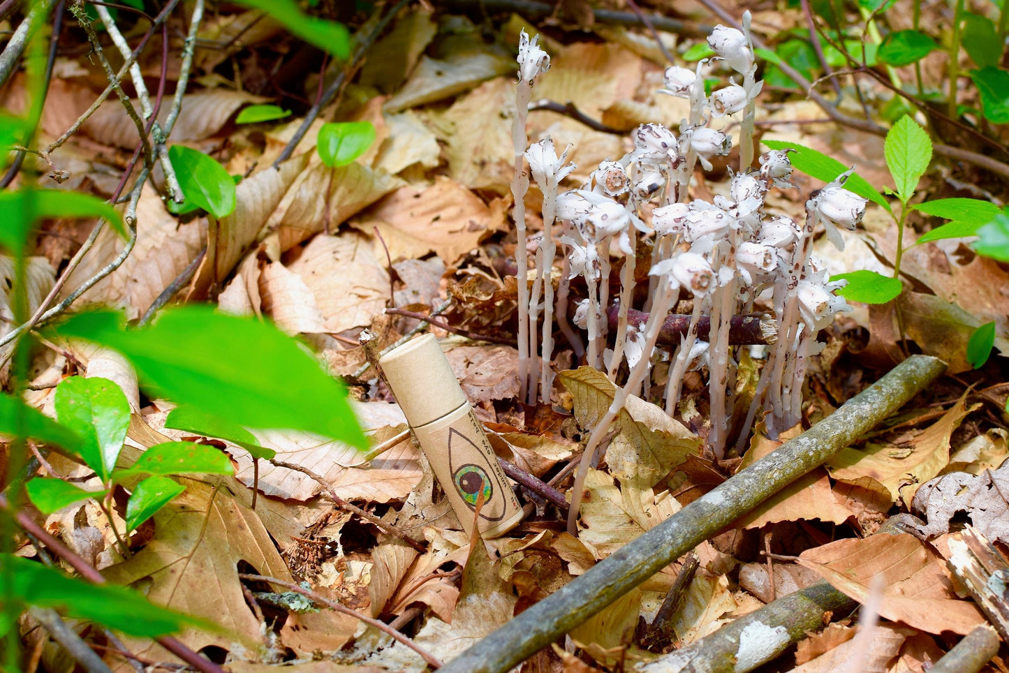 I Love You Under Eye Balm