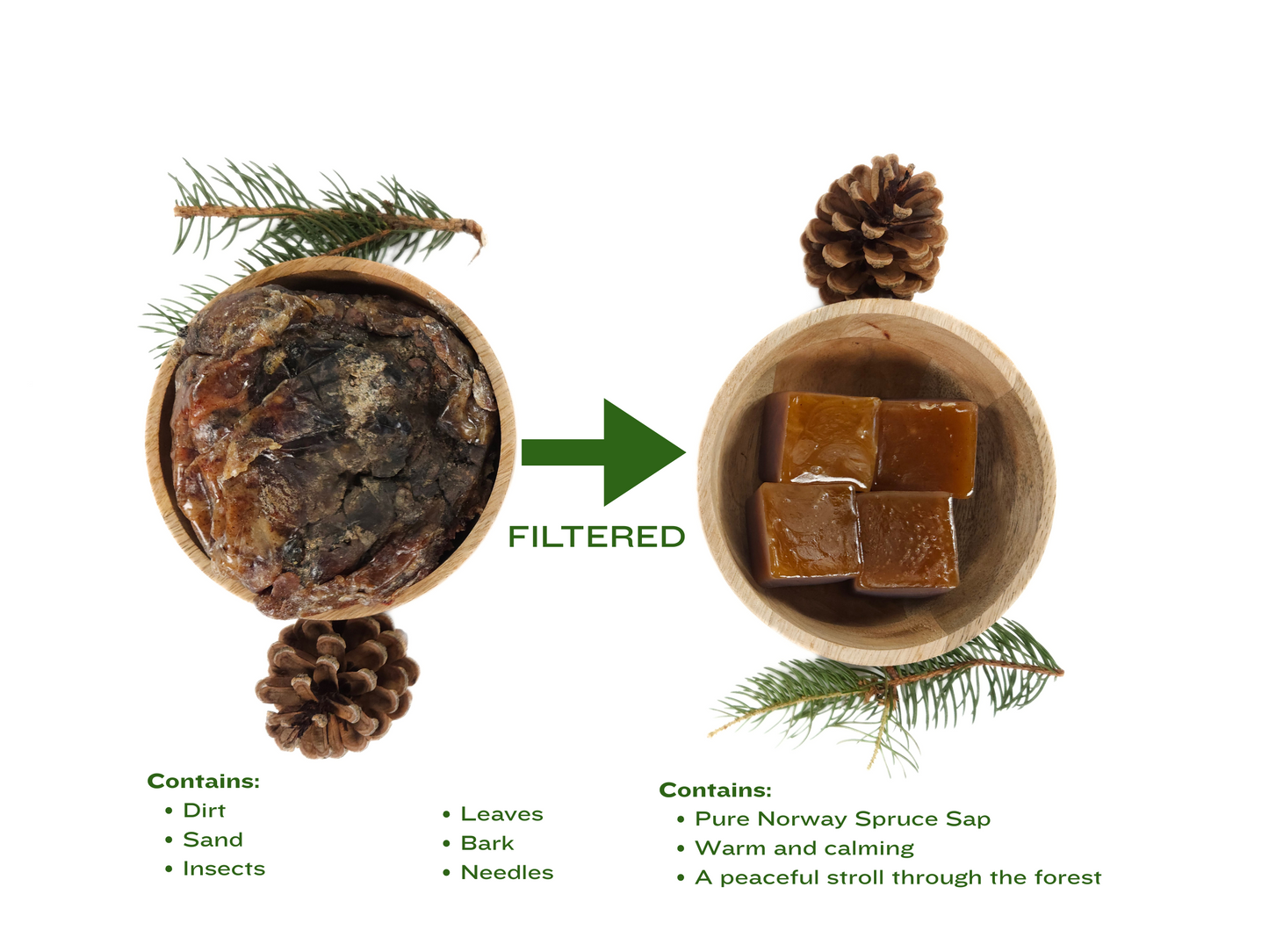 Filtered Pure Norway Spruce Resin (Picea abies) 1oz (28g)