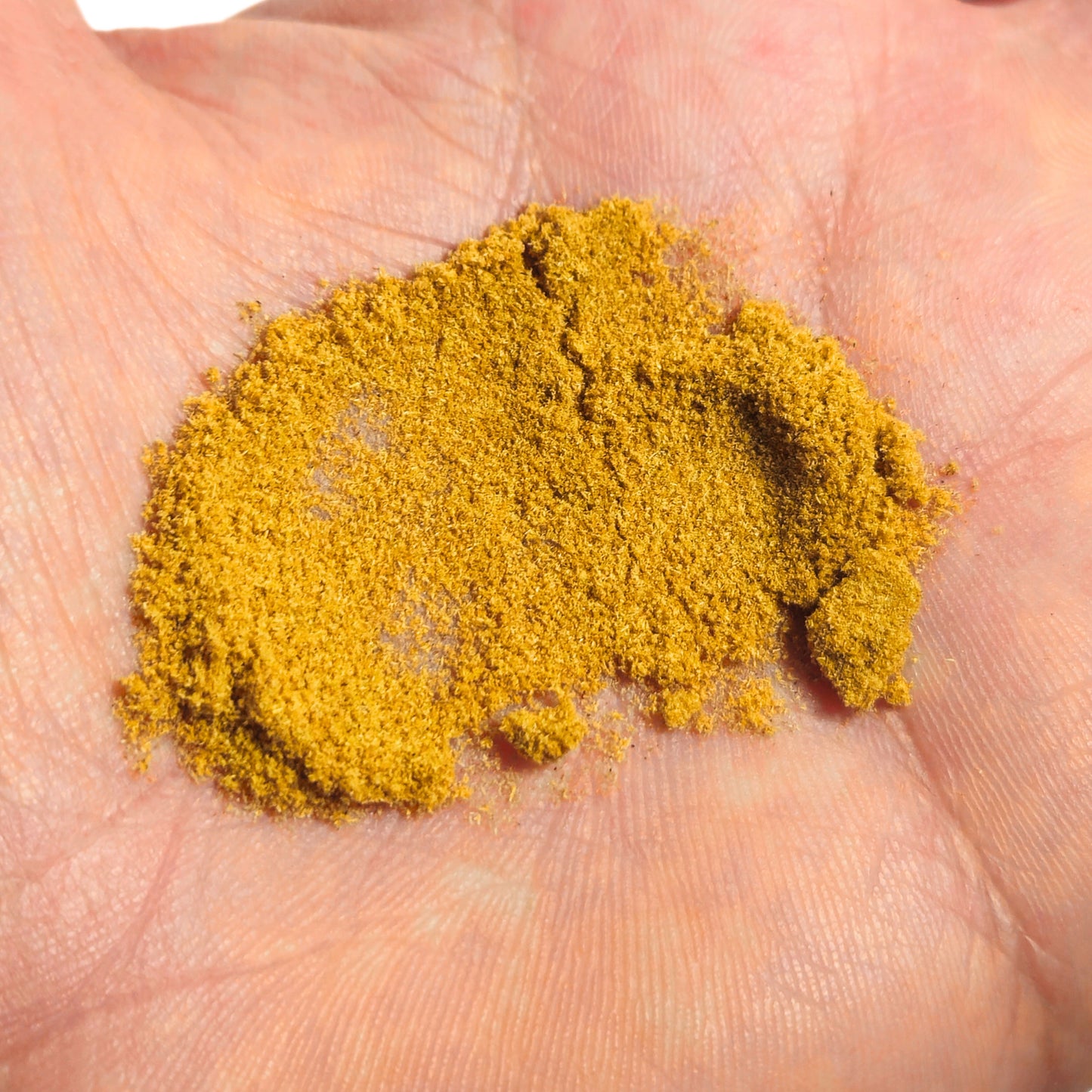 Super-Fine Palo Santo Powder | Bursera graveolens | Premium Quality