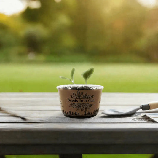 Beans | Plant Seed Starter Grow Kit | Seeds In A Cup®
