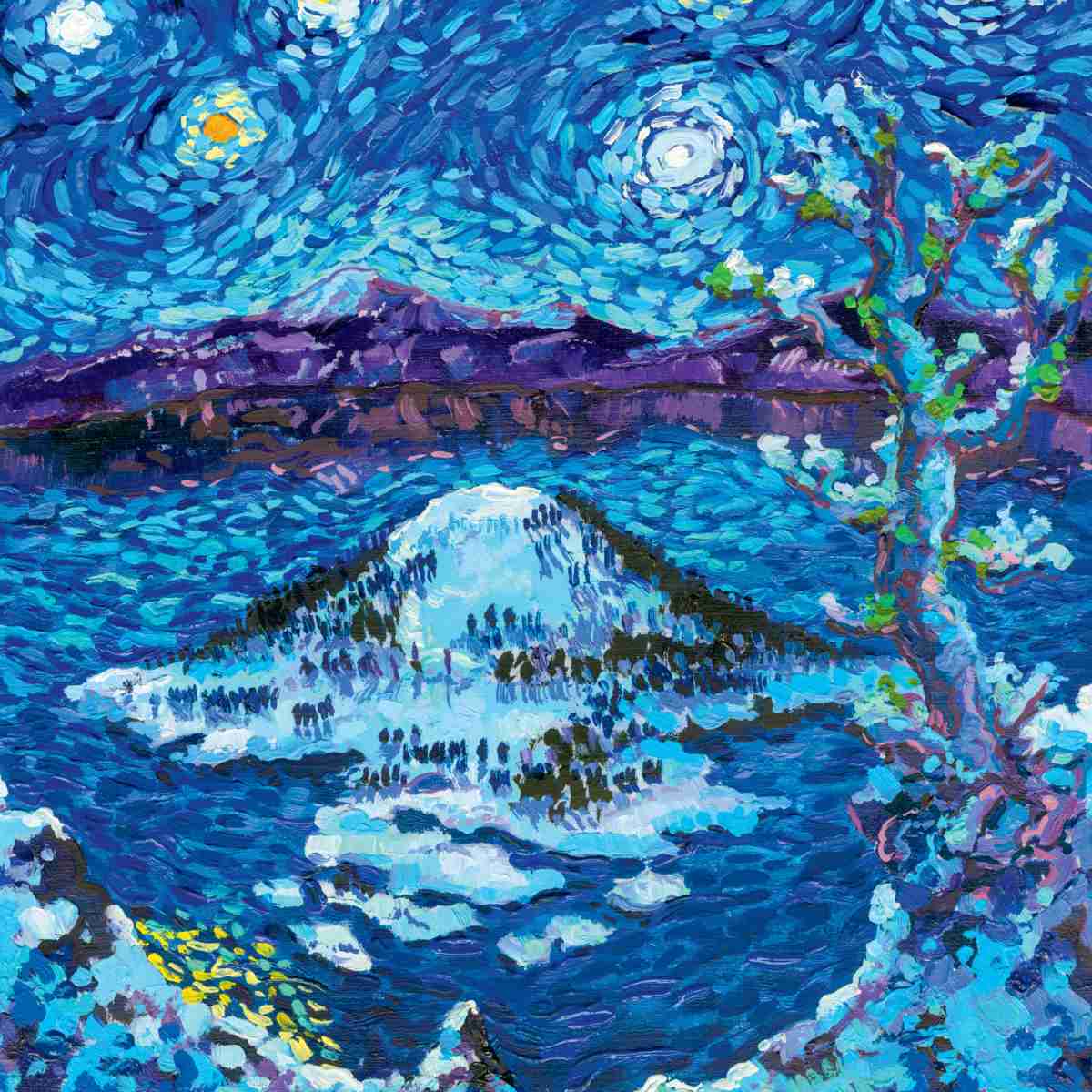 2026 Starry Night National Park Wall Calendar from National Parks Collective