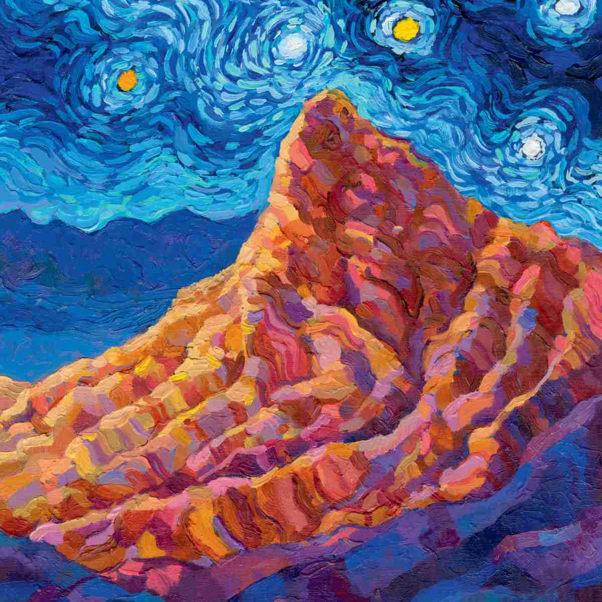2026 Starry Night National Park Wall Calendar from National Parks Collective