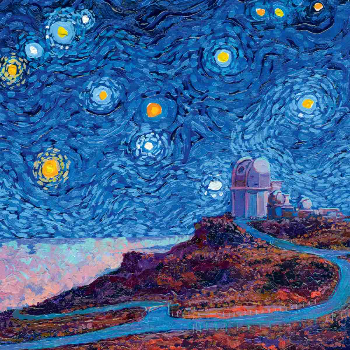 2026 Starry Night National Park Wall Calendar from National Parks Collective
