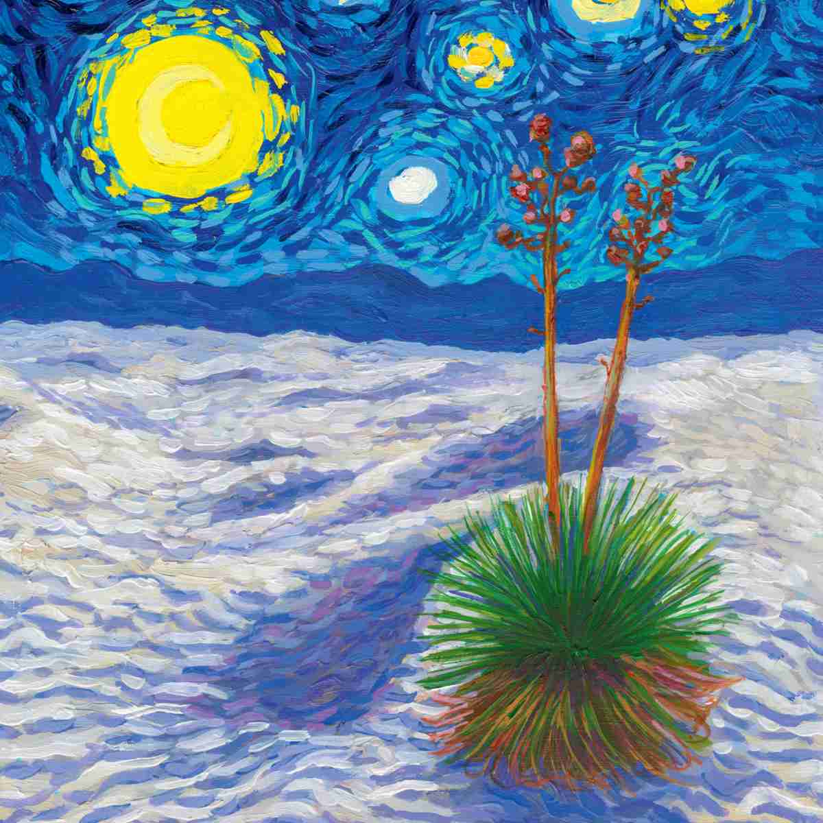 2026 Starry Night National Park Wall Calendar from National Parks Collective