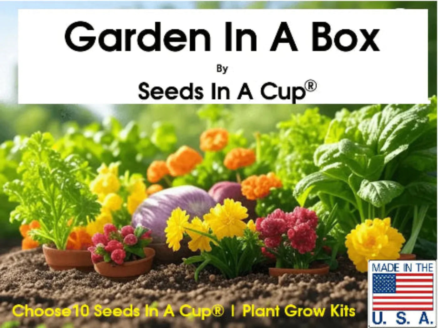American Ash | Tree Grow Kit  |  Seeds In A Cup®
