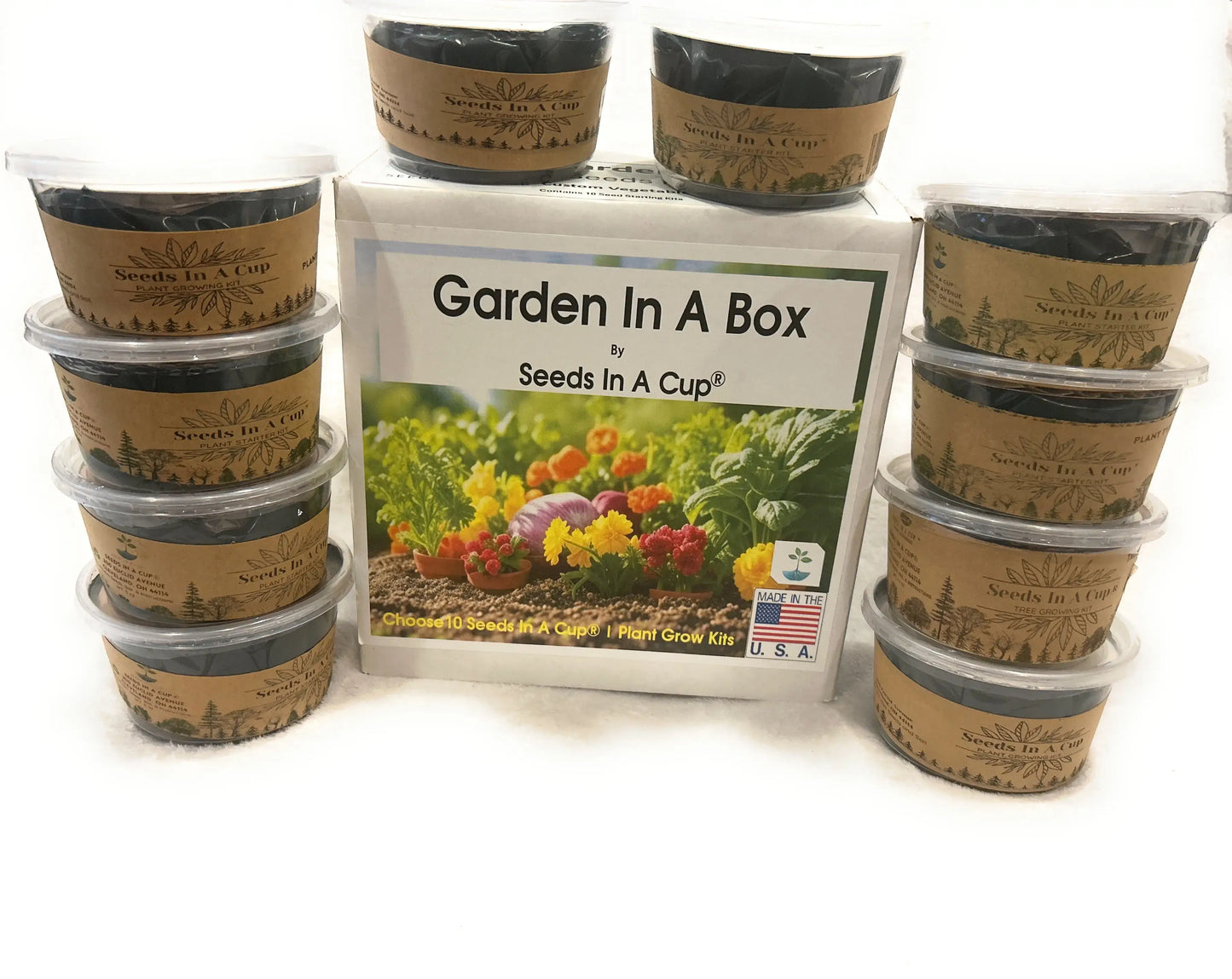 American Ash | Tree Grow Kit  |  Seeds In A Cup®