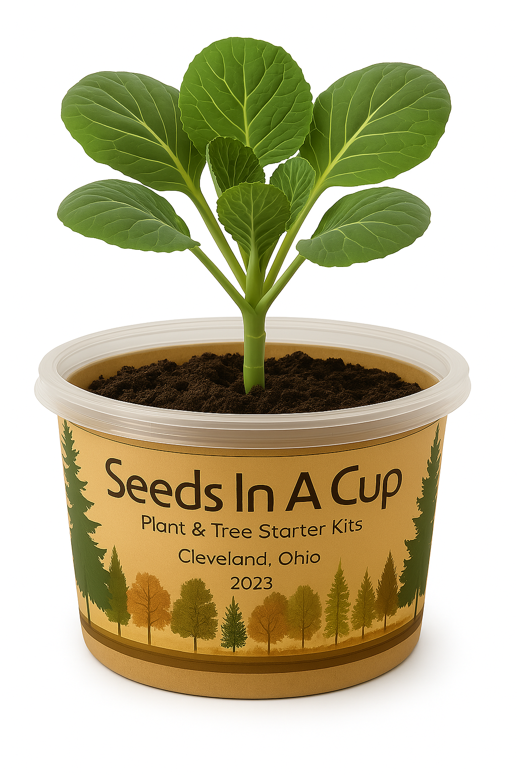 Seeds In A Cup® Plant Grow Kits