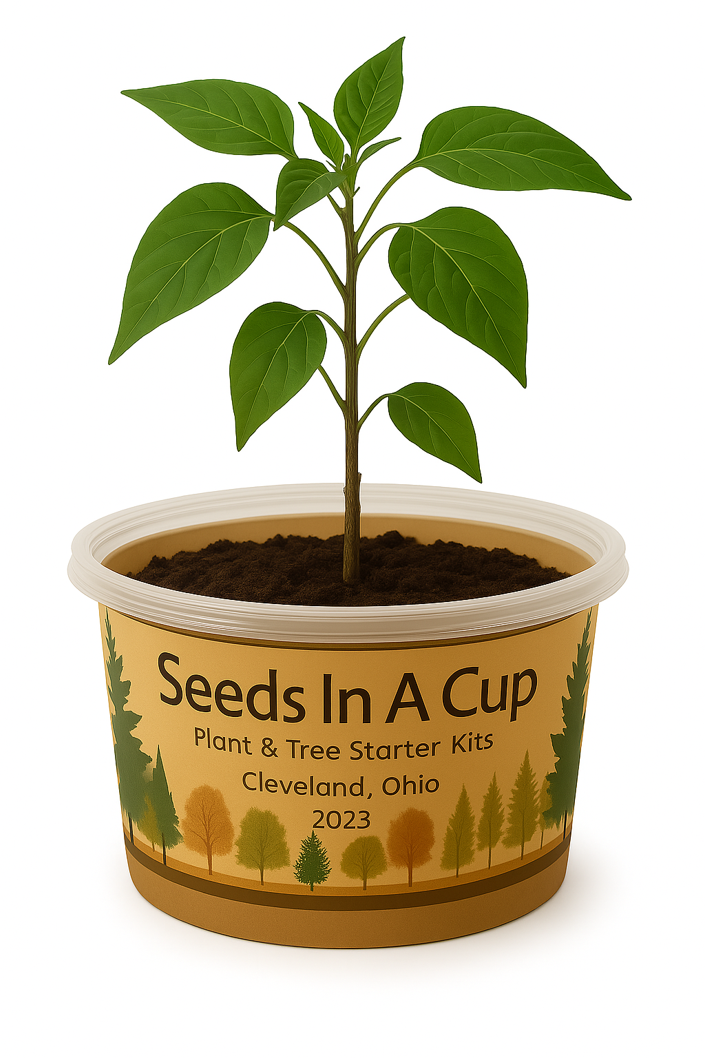 Jasmine | Plant Seed Starter Grow Kit | Seeds In A Cup®