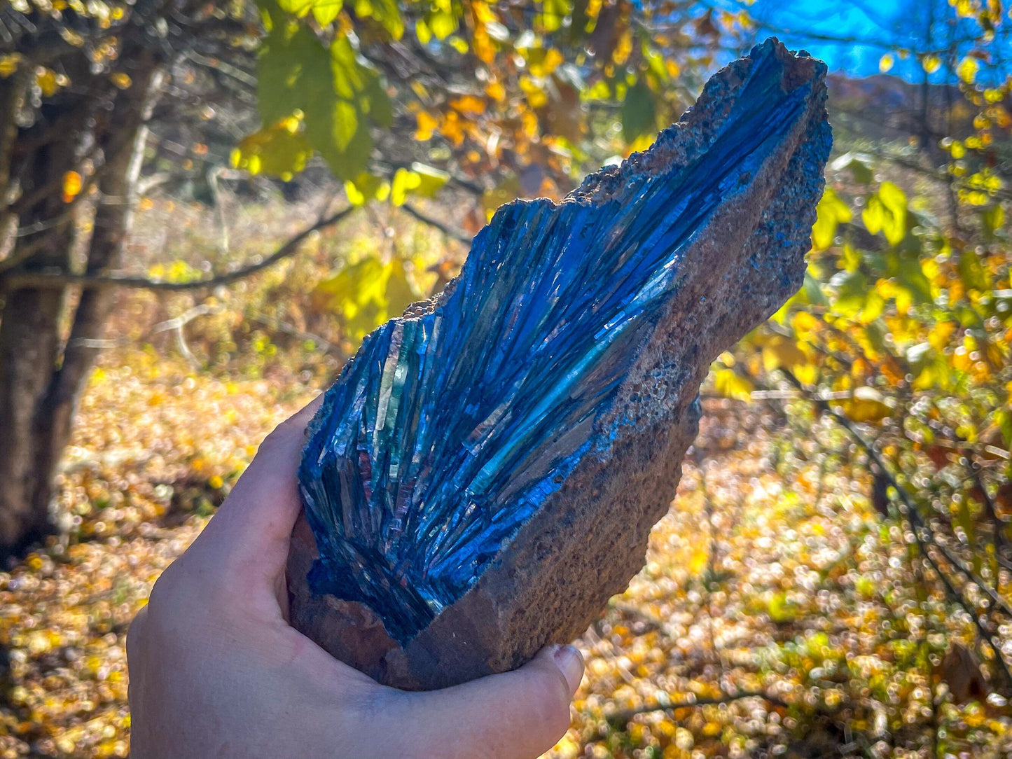 8" Raw VIVIANITE Specimen