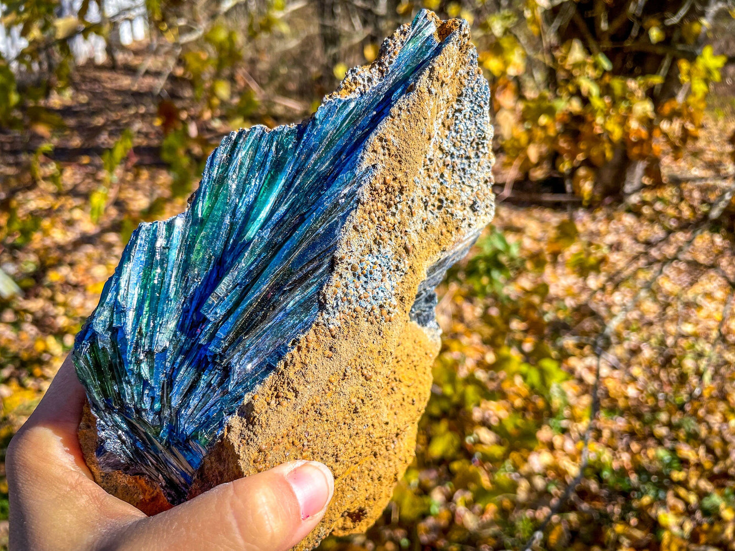 8" Raw VIVIANITE Specimen