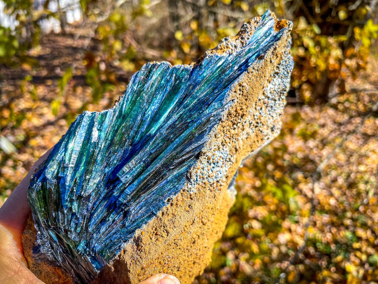 8" Raw VIVIANITE Specimen