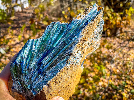 8" Raw VIVIANITE Specimen