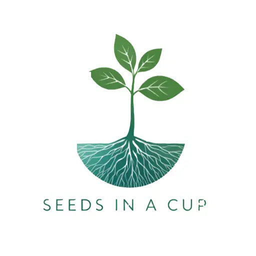 American Ash | Tree Grow Kit  |  Seeds In A Cup®