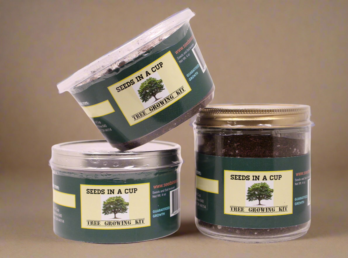 American Elm Tree  |  Seed Starter Grow Kit  |  Seeds In A Cup®