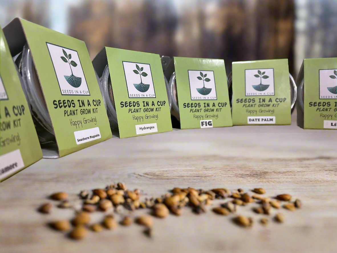 White Birch Tree | Seed Starter Grow Kit | Seeds In A Cup®