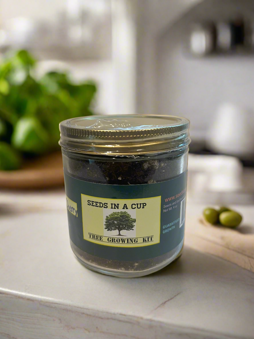 American Wisteria | Plant Seed Starter Grow Kit | Seeds In A Cup®