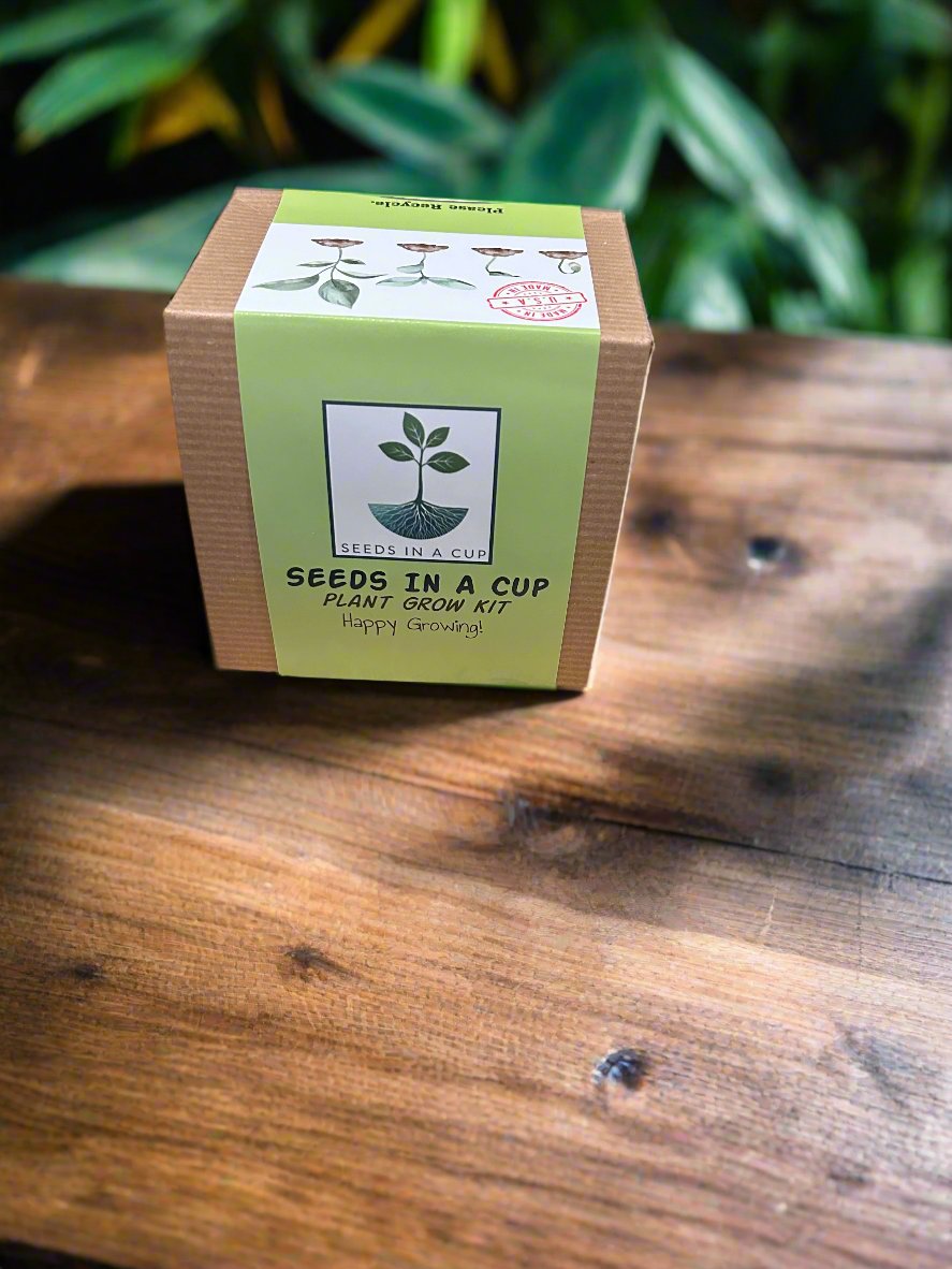 Sugar Maple Tree | Seed Starter Grow Kit | Seeds In A Cup®