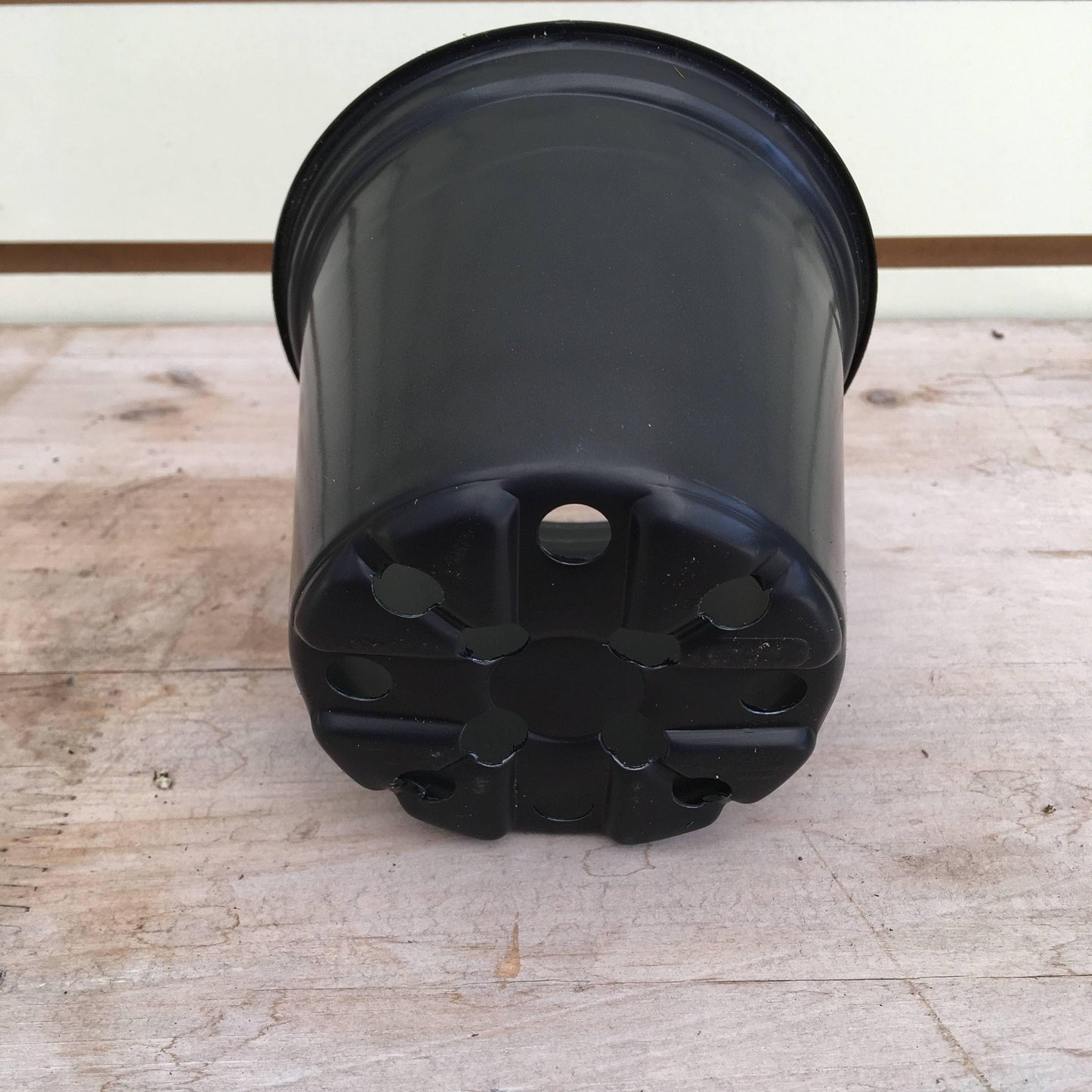 Starter Kit for 2 Large Plugs