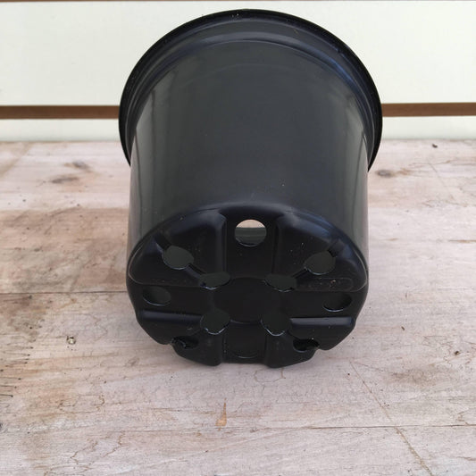 Starter Kit for Large Cuttings (2 Pots)