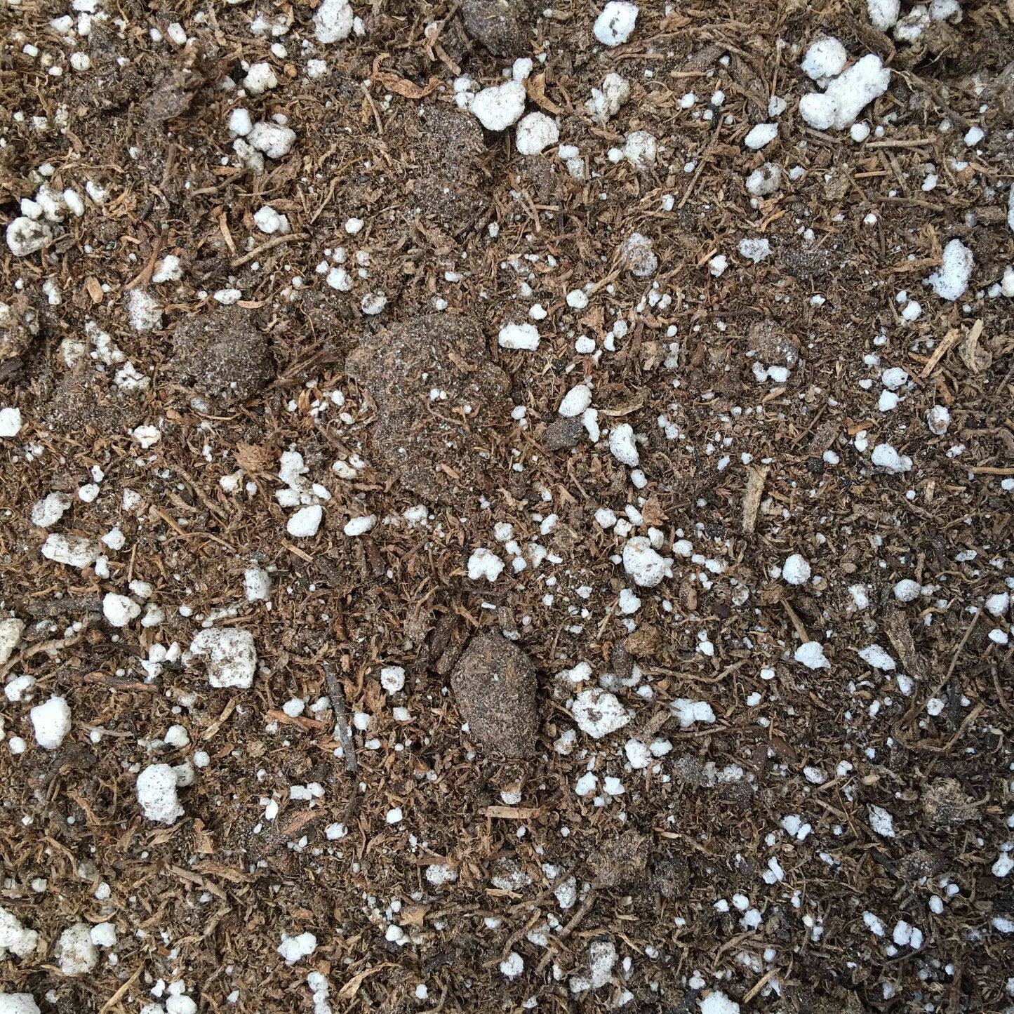 Starter Kit for Large Cuttings (2 Pots)