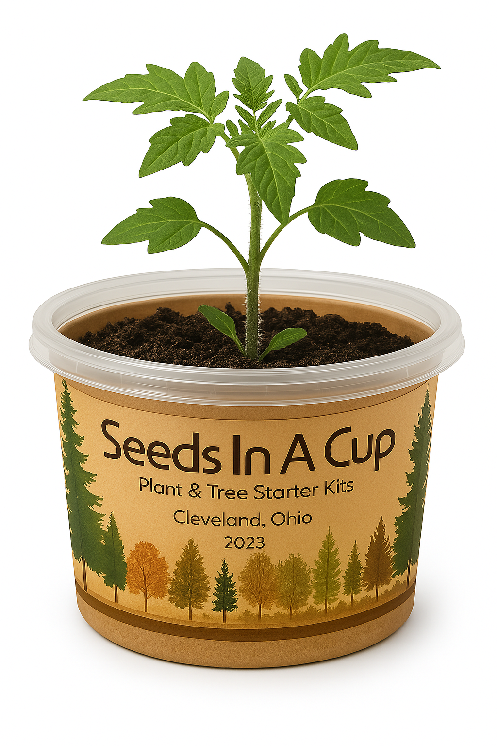 Tarragon | Plant Seed Starter Grow Kit | Seeds In A Cup®